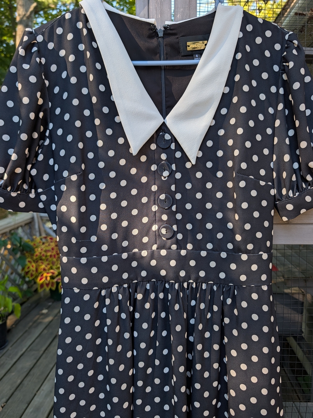 Alexia Admor Black and White Polka Dot Dress with Cream Collar